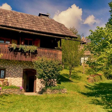 Domacija Koklej - Apartments Vintage Vacation Luce Luaran gambar