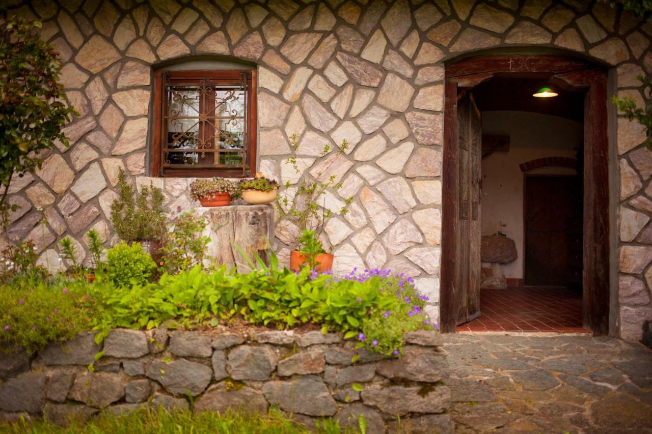 Domacija Koklej - Apartments Vintage Vacation Luce Luaran gambar